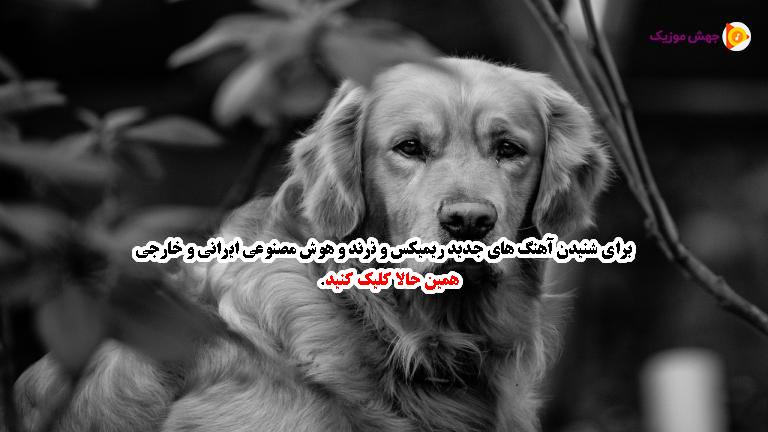 دانلود آهنگ امشب دلم میخواد تا فردا می بنوشم من از هوشمند عقیلی